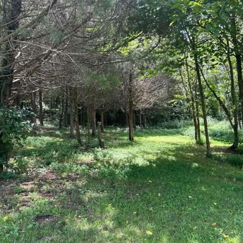 963 Sugar Valley Road, Albany, KY 42602 — photo 5