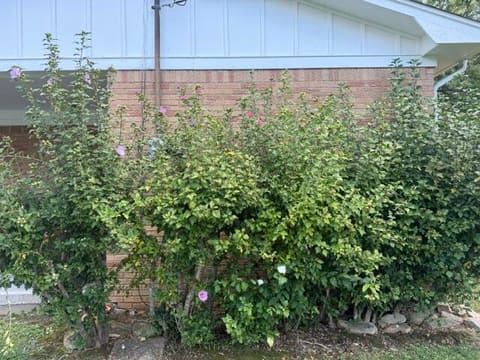 111 Park Lane Drive, Paducah, KY 42003 — photo 3