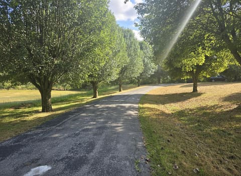 907 Court Road, London, KY 40744 — photo 2