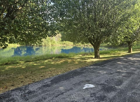 907 Court Road, London, KY 40744 — photo 3