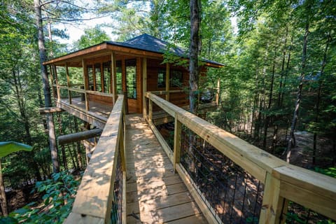 637 Cave Hollow Road, Campton, KY 41301 — photo 4