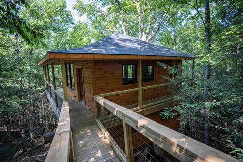 689 Cave Hollow Road, Campton, KY 41301 — photo 4