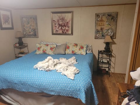 150 E RIGHT FORK- SUGAR CAMP ROAD Drive, Booneville, KY 41314 — photo 5