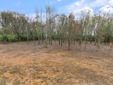 4280 Buttermilk Road, Lexington, KY 40509 — photo 4