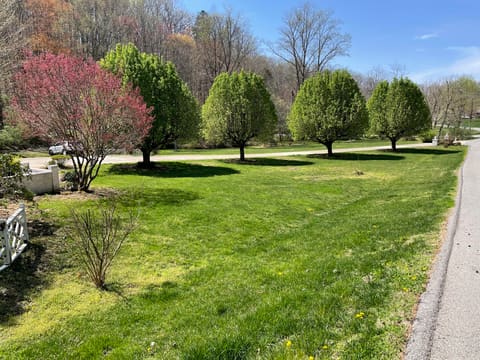 310 Sunny Brook Lane, Heidrick, KY 40949 — photo 4