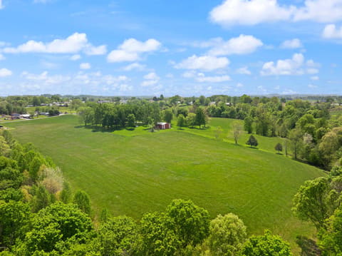 223 Lanetown Road, Nancy, KY 42544 — photo 5