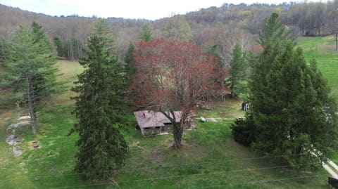 1459 Buck Lick Road, Tollesboro, KY 41189 — photo 4