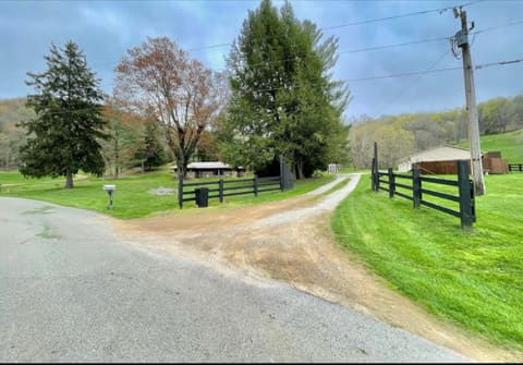 1459 Buck Lick Road, Tollesboro, KY 41189 — photo 3