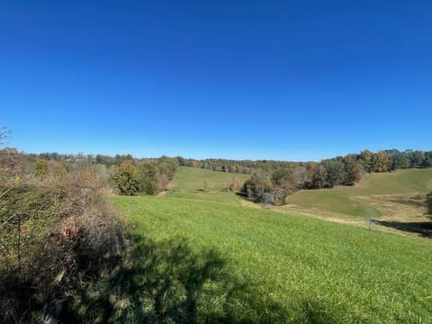 2494 Artville Road, Wellington, KY 40387 — photo 5