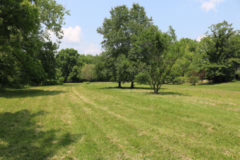 164 Oxbow Road, Carlisle, KY 40311 — photo 4
