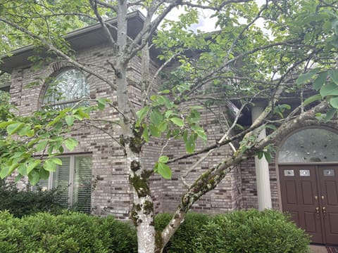 260 Beech Fork Boulevard, Clay City, KY 40312 — photo 3
