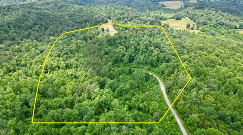 1496 Conrad Cemetary Road, Somerset, KY 42503 — photo 2