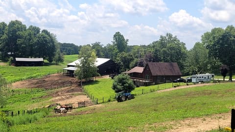 6758 Highway 1693, Wellington, KY 40387 — photo 2