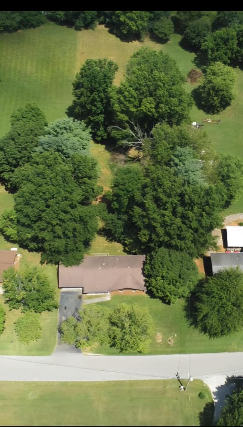 1006 Rainbow Drive, Albany, KY 42602 — photo 4