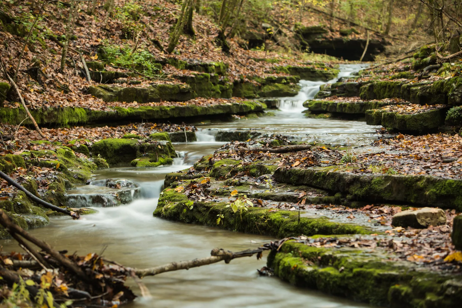 Cascading stream over mossy rocks at Raven Run Nature Sanctuary near Lexington KY