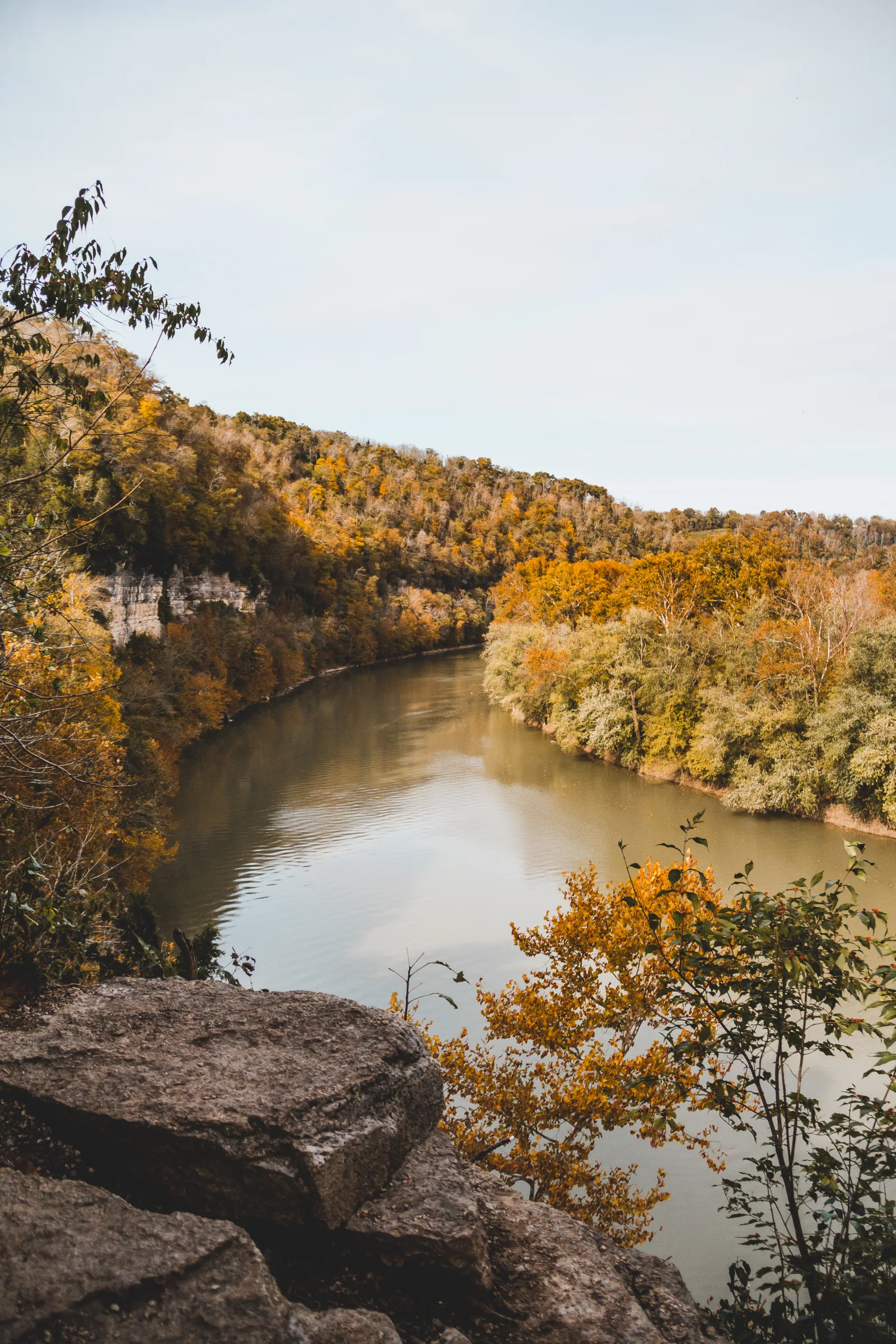 The Kentucky River winding through wooded palisades near Lexington