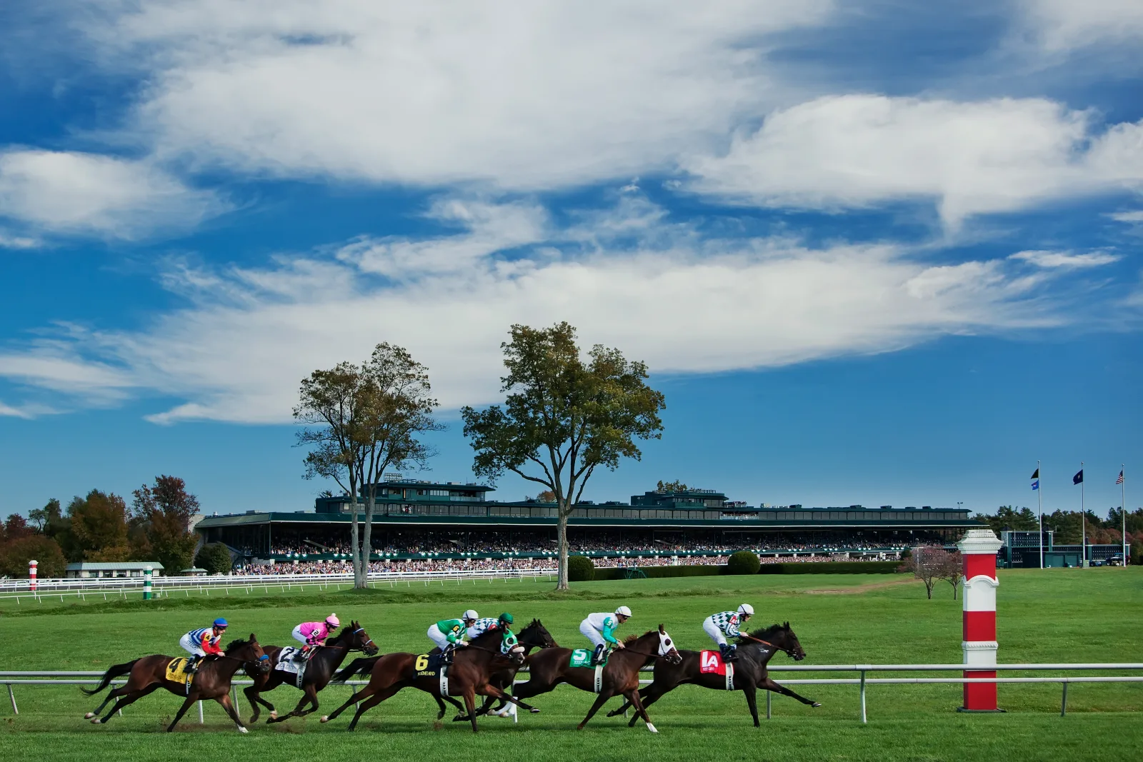 Thoroughbreds racing on the turf at Keeneland in Lexington