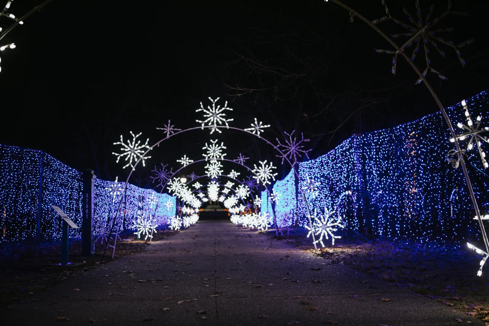 Winter holiday light displays in Lexington