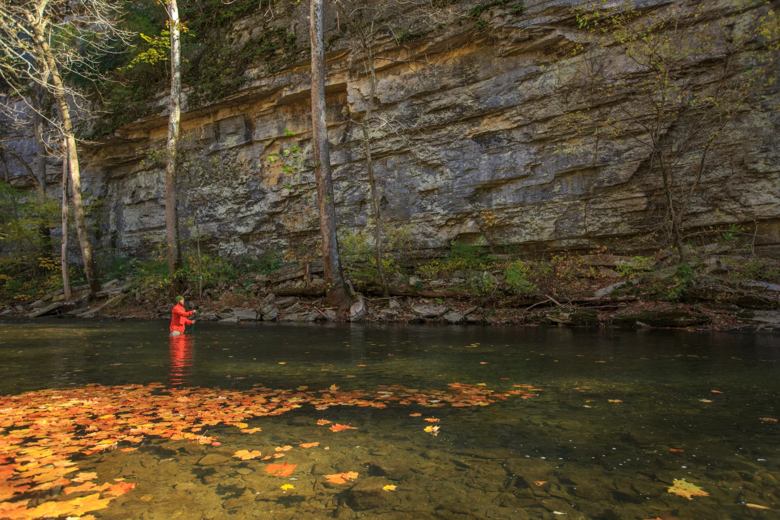 A person in a red coat wading in a calm creek beneath a tall layered rock ledge in the Red River Gorge region near Lexington KY