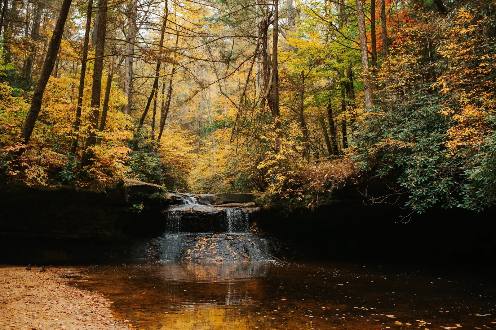 A woodland waterfall spilling into a calm pool framed by golden autumn leaves at Red River Gorge near Lexington KY
