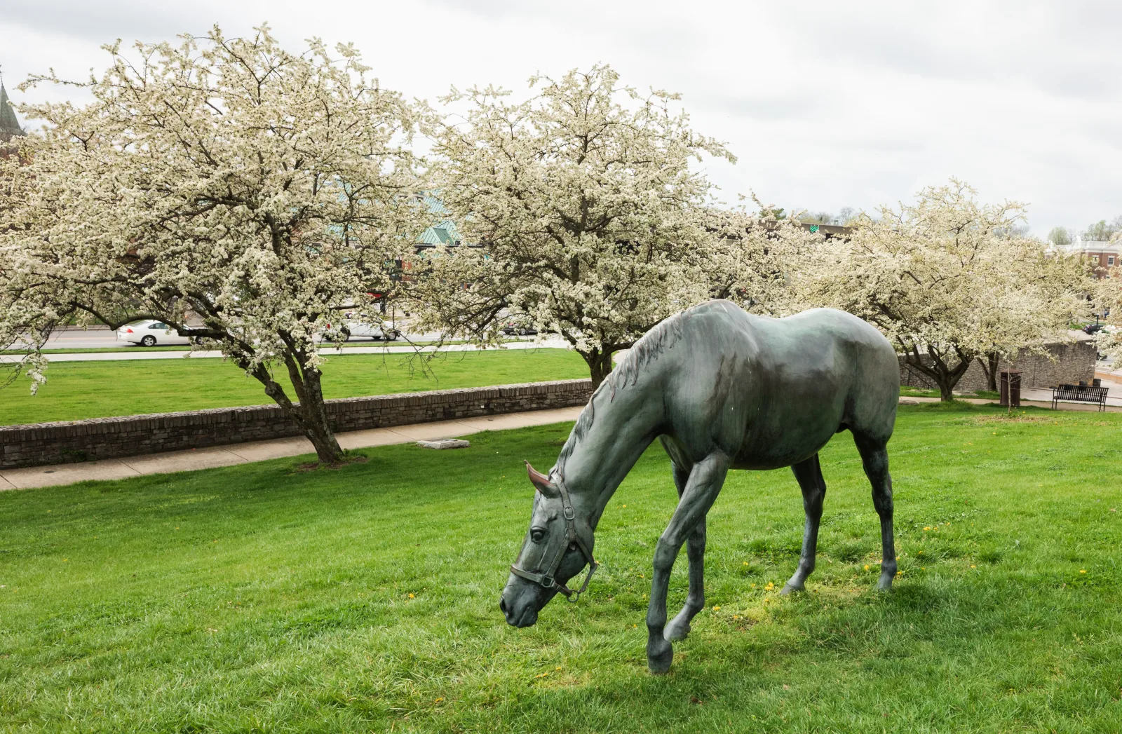Bronze horse sculpture on a green lawn in front of historic downtown Lexington buildings